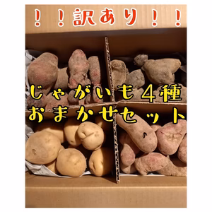 【訳あり】じゃがいも４種セット