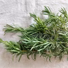 ローズマリー　南アルプスのオーガニック・ドライハーブ 1袋 8g～