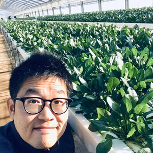 そのまま食べて美味しいサラダほうれん草10パック入り