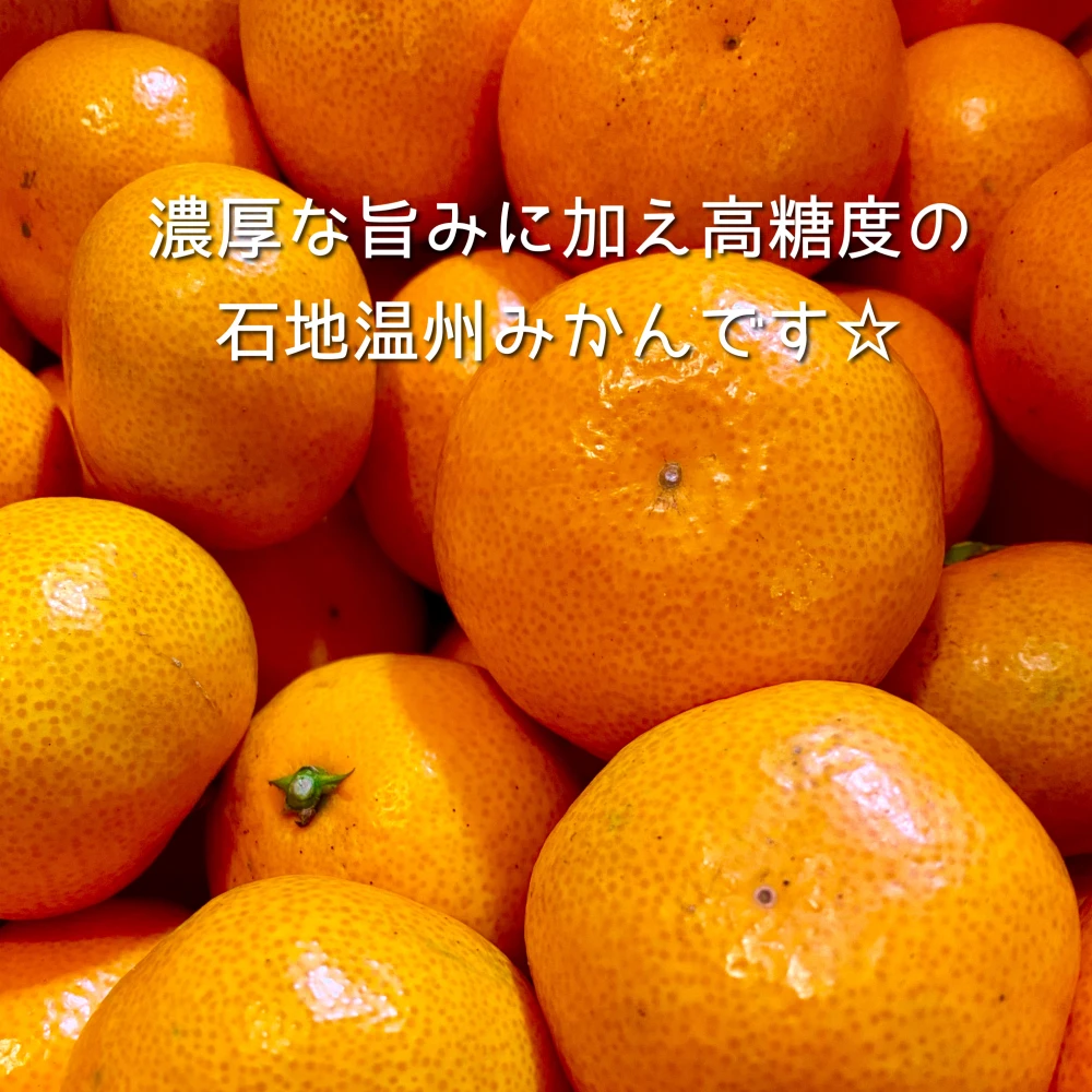 石地温州みかん【予約特価☆ご家庭用　愛媛県・大三島産】