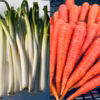   雪国富山の雪下人参とネギのセット