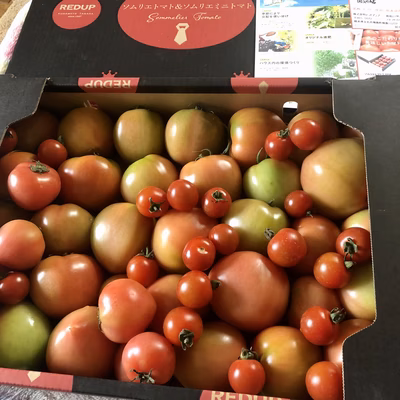 みんなの投稿の画像