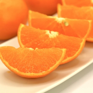 【柑橘の大トロ】あふれる果汁！きみの「せとか」