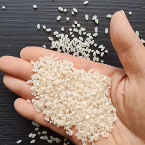 【農薬不使用】《令和7年・和歌山県産》日本晴★白米【肥料除草剤不使用】