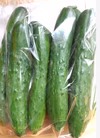自然農法☆地這いキュウリ