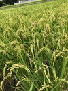 （白米）5キロゆうき農法師と運米（ヒノヒカリ）と玄米2キロ