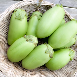 とろける果肉緑ナス(白ナス)　農薬・化学肥料不使用【1〜2kg(3〜6本)】