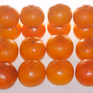 【訳あり】大豊柿（まぼろしの柿）4kg