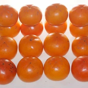 【訳あり】大豊柿（まぼろしの柿）4kg