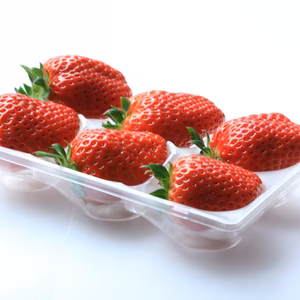 いちご(まりひめ)　大粒　デラックスサイズ　朝採り　