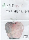 味に自信あり！訳あり、りんご「サンふじ」３、５、１０ｋｇ