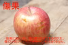 サンふじ　家庭用（訳あり）