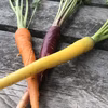 カラフルにんじん｜農薬肥料不使用｜葉付き バター醤油炒めがおすすめ♪