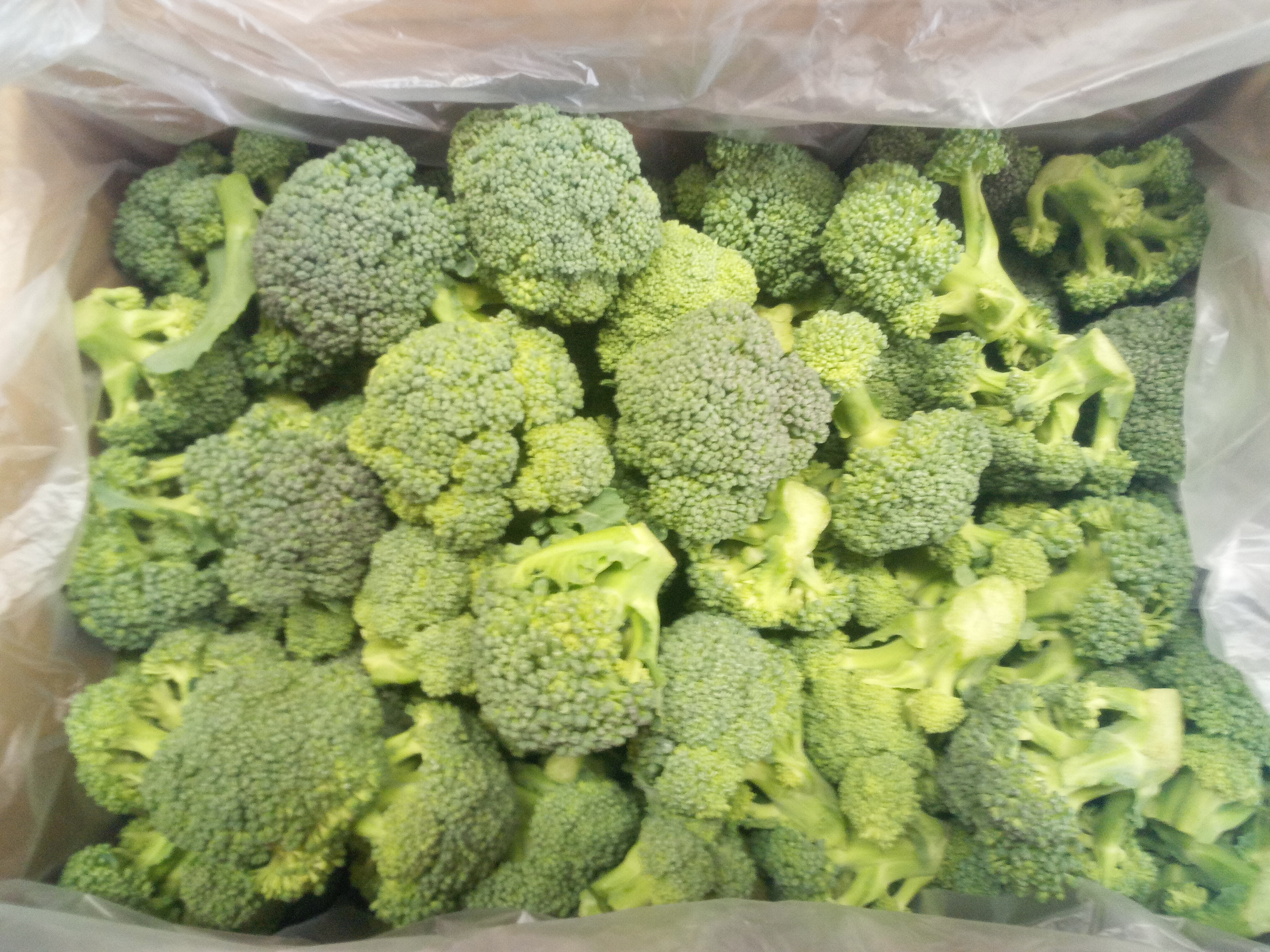 お手入れ簡単 ミニブロッコリー エコファーマー認定 農家漁師から産地直送の通販 ポケットマルシェ