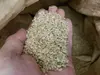 蛍が生息する田んぼの玄米(にこまる　ヒノヒカリ)　5kg  　完全無農薬湧