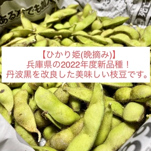 【ひかり姫 1kg】2022年兵庫県の新品種枝豆