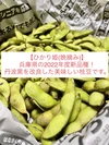 【ひかり姫 1kg】2022年兵庫県の新品種枝豆