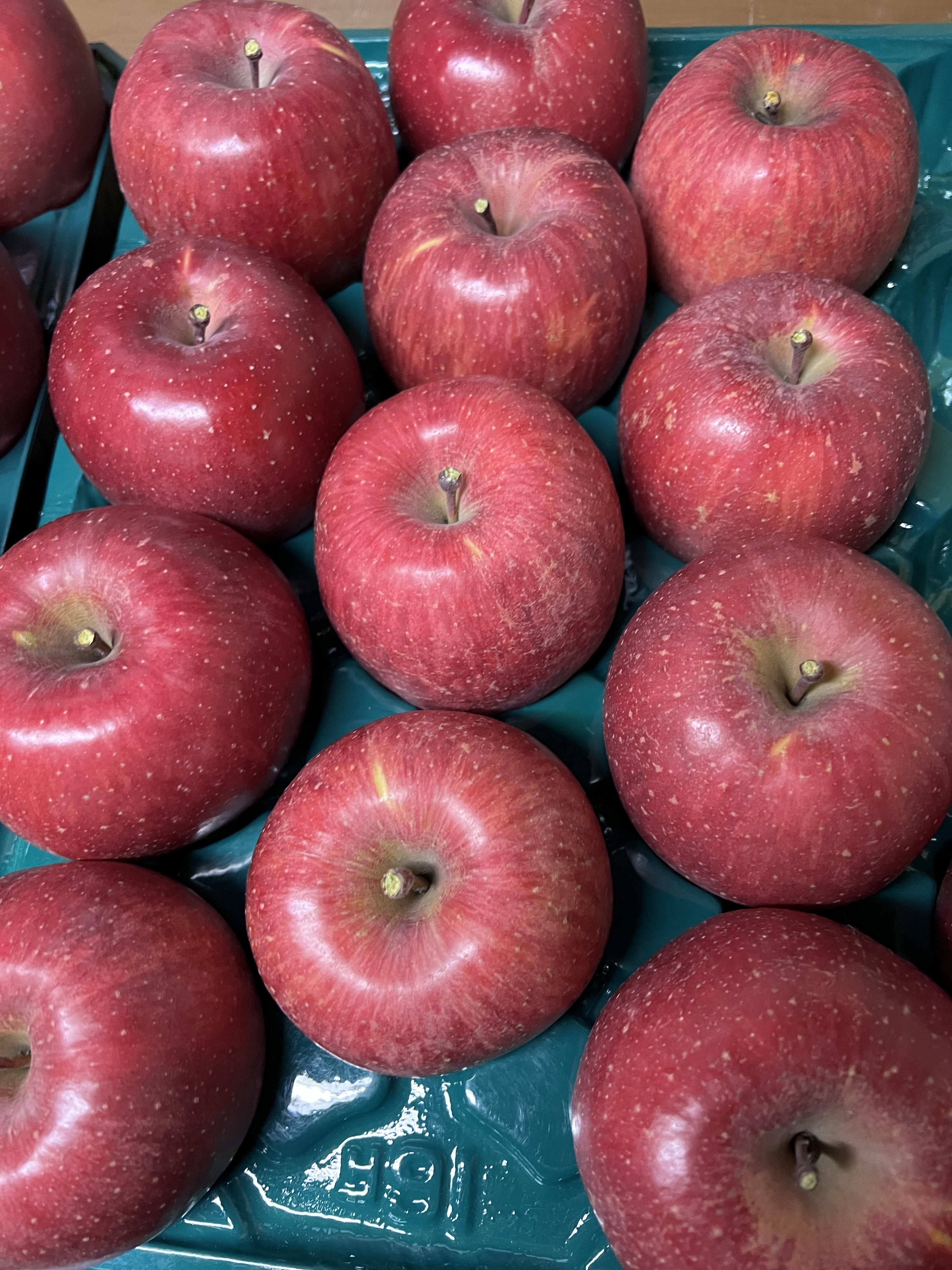 2026年予約受付中] 長野県産 王道の美味しさサンフジ3kg（9~12個