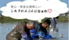 【真空Ｐ贈答用ラベル付個包装クール便発送】佐渡産シルクれんこん/M～S・SS
