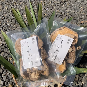 乾燥しいたけ