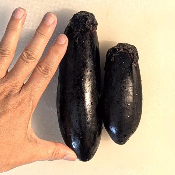 【緊急SALE】今日だけ！《特大高原なす》