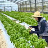 平良彰規 | 糸満ハーブガーデン