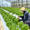 平良彰規