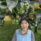 千田美保 | 千田果樹園