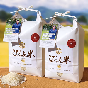 きわだつ大粒！令和6年産【極】白米・4kg　特別栽培米　こぴっと米