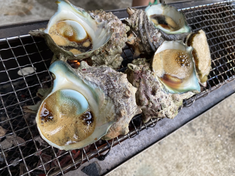 五島列島産 巻貝食べ比べセット 天然活サザエと黒ミナ 農家漁師から産地直送の通販 ポケットマルシェ