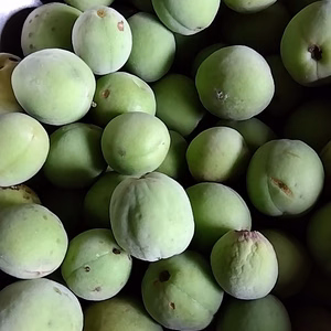 【農薬不使用】訳あり青梅　旬の野菜のおまけ付き！！