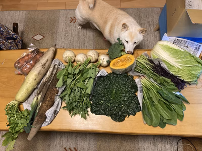 みんなの投稿の画像