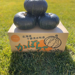 栗系カボチャ　ブラックのジョー