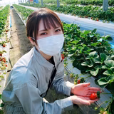 野中麻衣