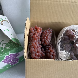 【ぶどう味くらべ2種盛】ピオーネ•路地デラウェア1kg（贈答用取っ手付き）