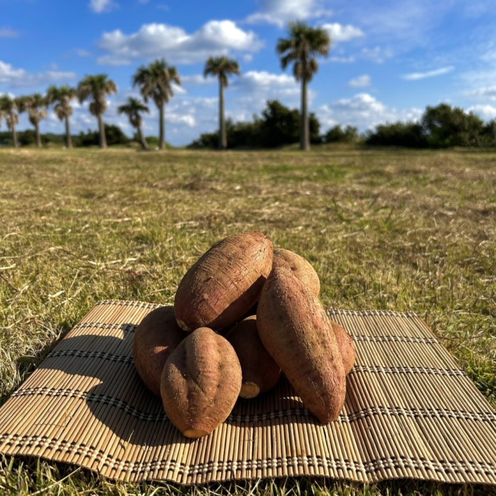 絶品】種子島産 安納芋 Lサイズ｜aimo農園｜さつまいもの商品詳細