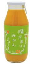 【手提げ箱入り6本セット】 三ヶ日みかんジュース 　180ml×6本