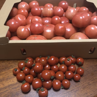 みんなの投稿の画像