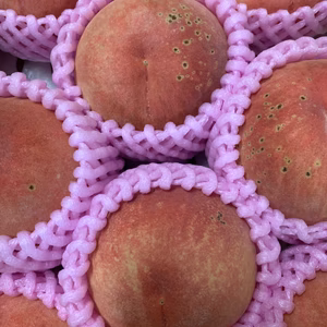 【クール便】太陽の日差しをたっぷり浴びた桃　品種お任せ訳あり品２Kg箱入り