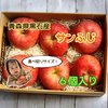 青森県産サンふじりんご6個