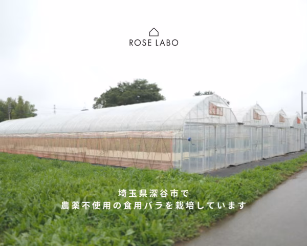 ROSE LABO株式会社