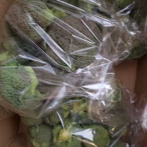 ちびブロッコリーとひとくちブロッコリーの詰め合わせ　1.5キロキロ入り