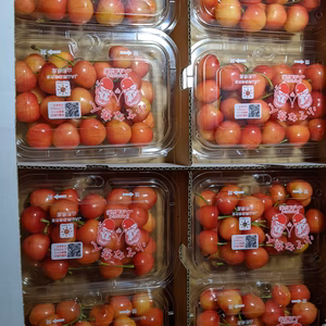 さくらんぼ大将錦８パック入り