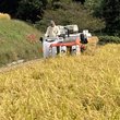 植松健一