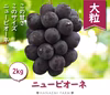P-2 花笑み農園　岡山の『ニューピオーネ』約２kg（３～４房）9月上旬～