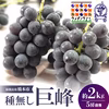 種無し巨峰　約２ｋｇ　送料無料‼　あまーい旬の味を是非！８月初旬より順次発送
