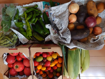 みんなの投稿の画像