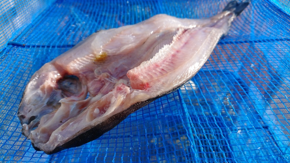 数量限定 コリコリ 青ツブ ヒメエゾボラ 殻付き 生食可 農家漁師から産地直送の通販 ポケットマルシェ