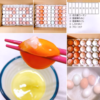 みんなの投稿の画像