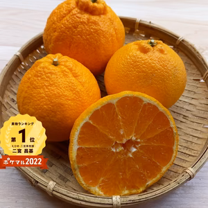 おかいどく　味濃厚完熟不知火デコ　1,000箱売れる！！